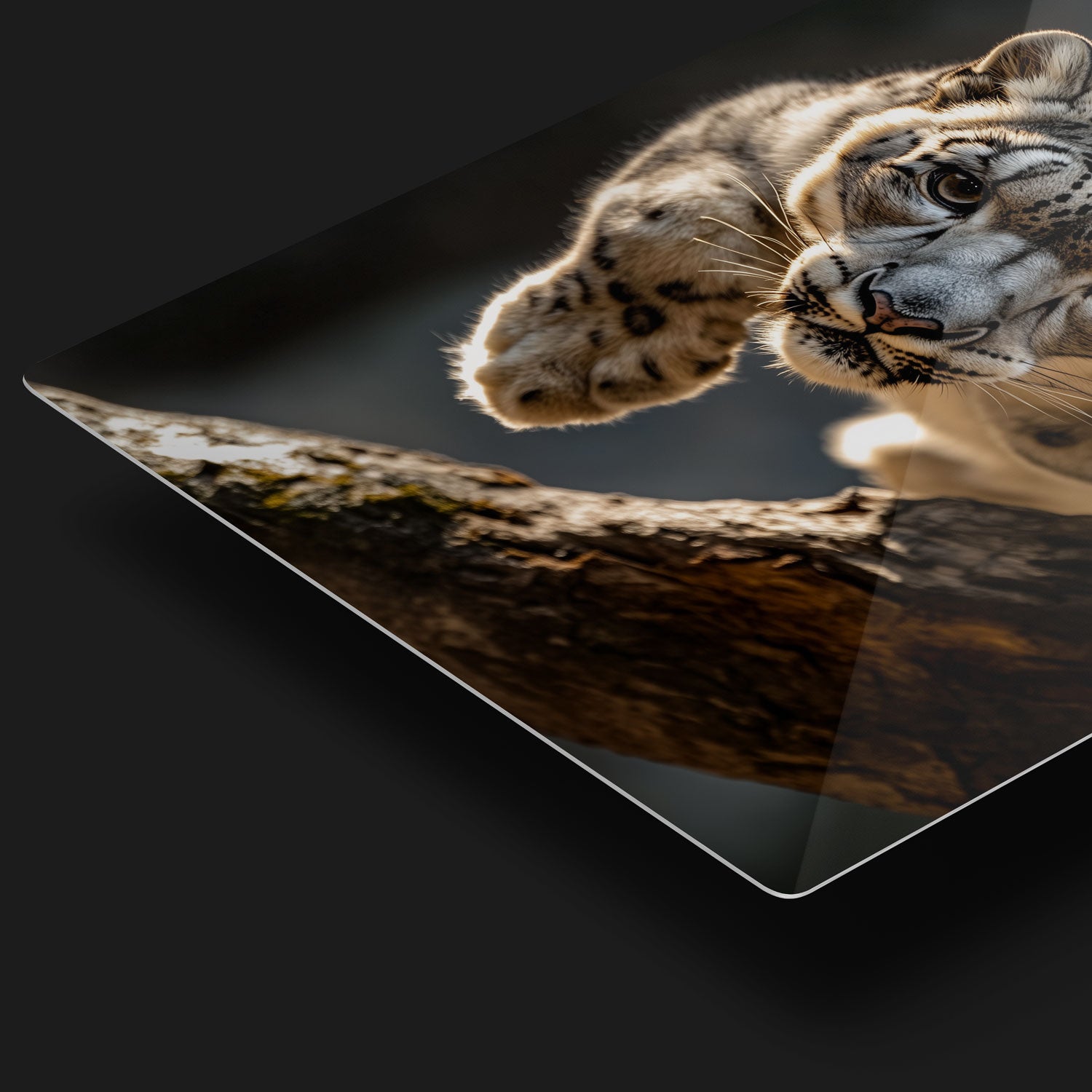 This piece brings a sense of movement and elegance, perfect for those who admire the wild beauty of big cats. Metal Print