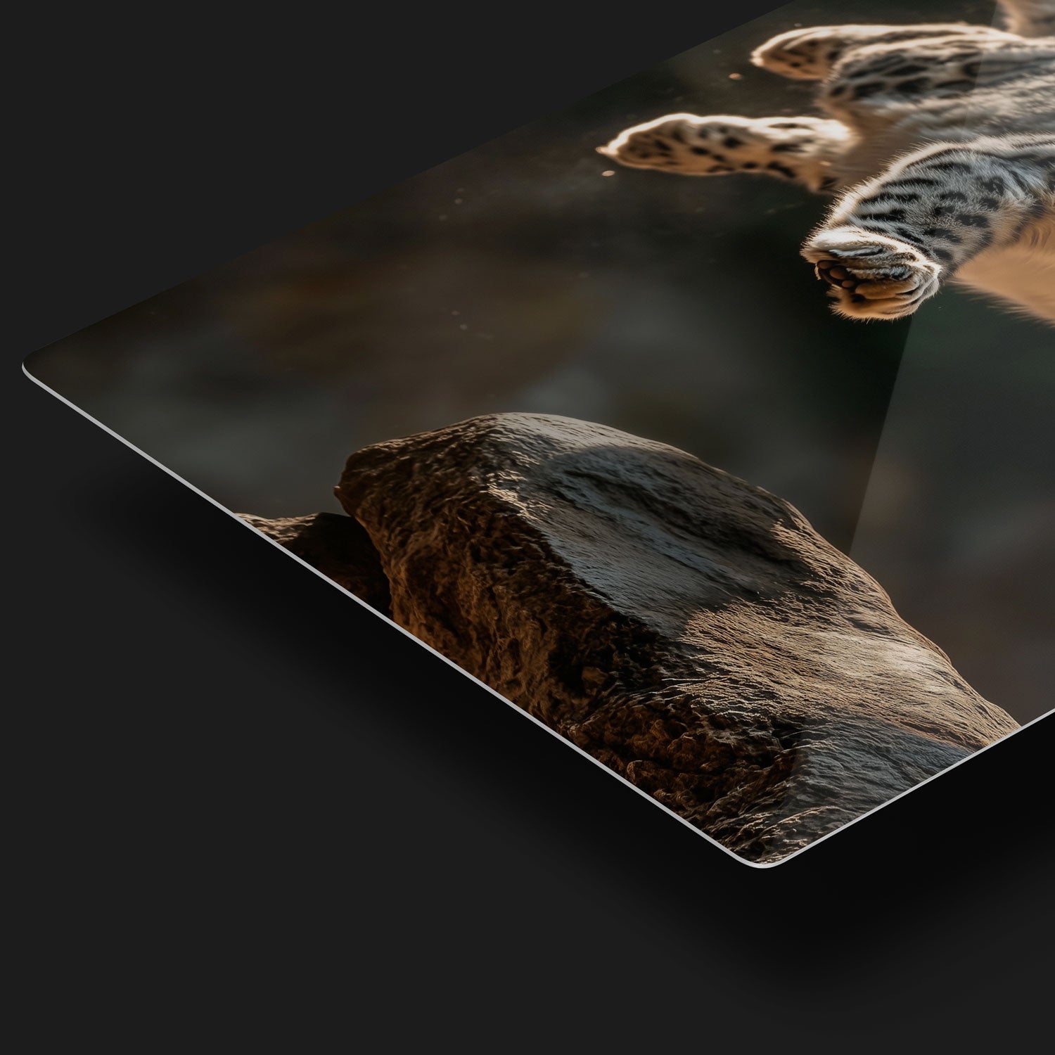 Graceful Predator in Flight - HD Metal Print