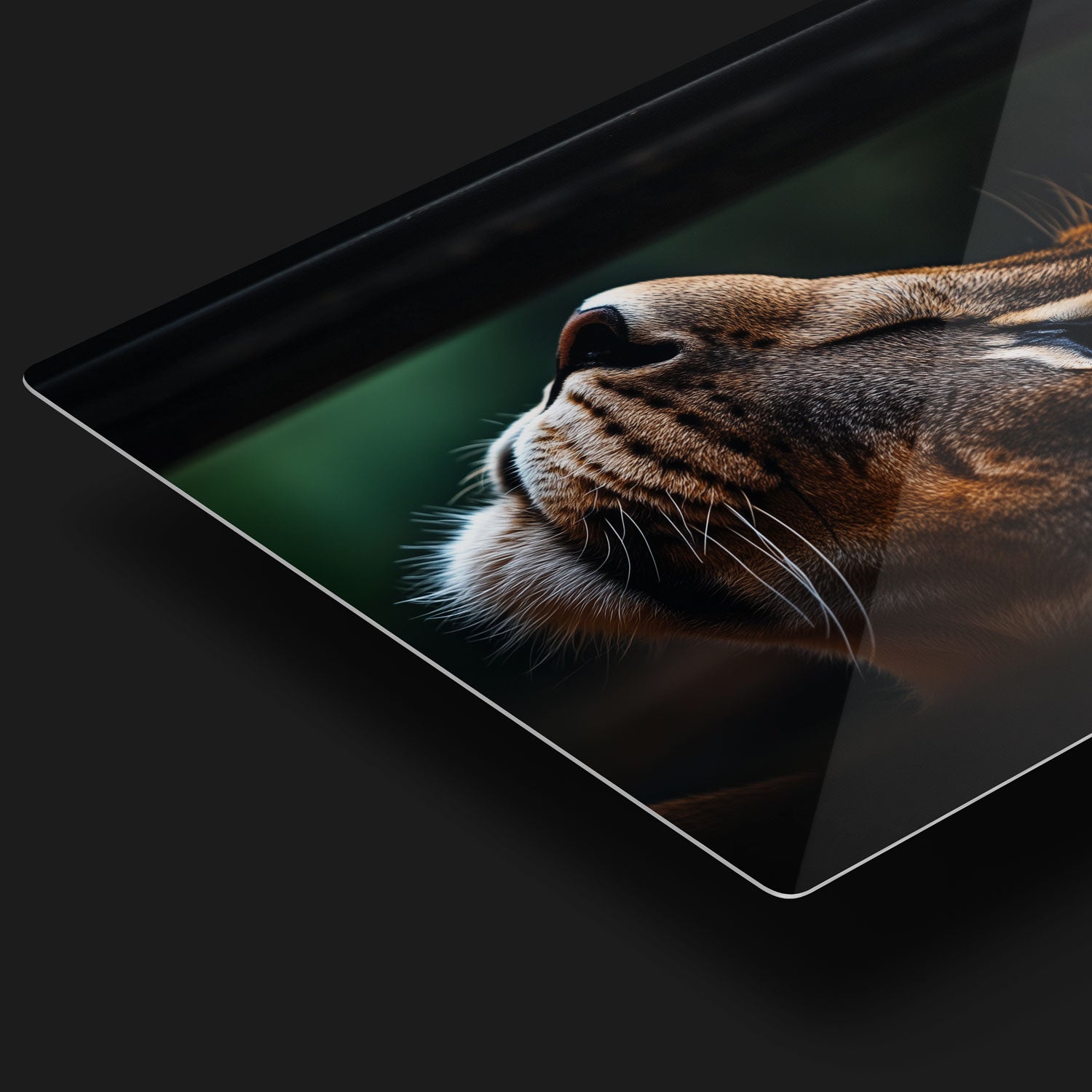 HD Metal Prints by CRUART