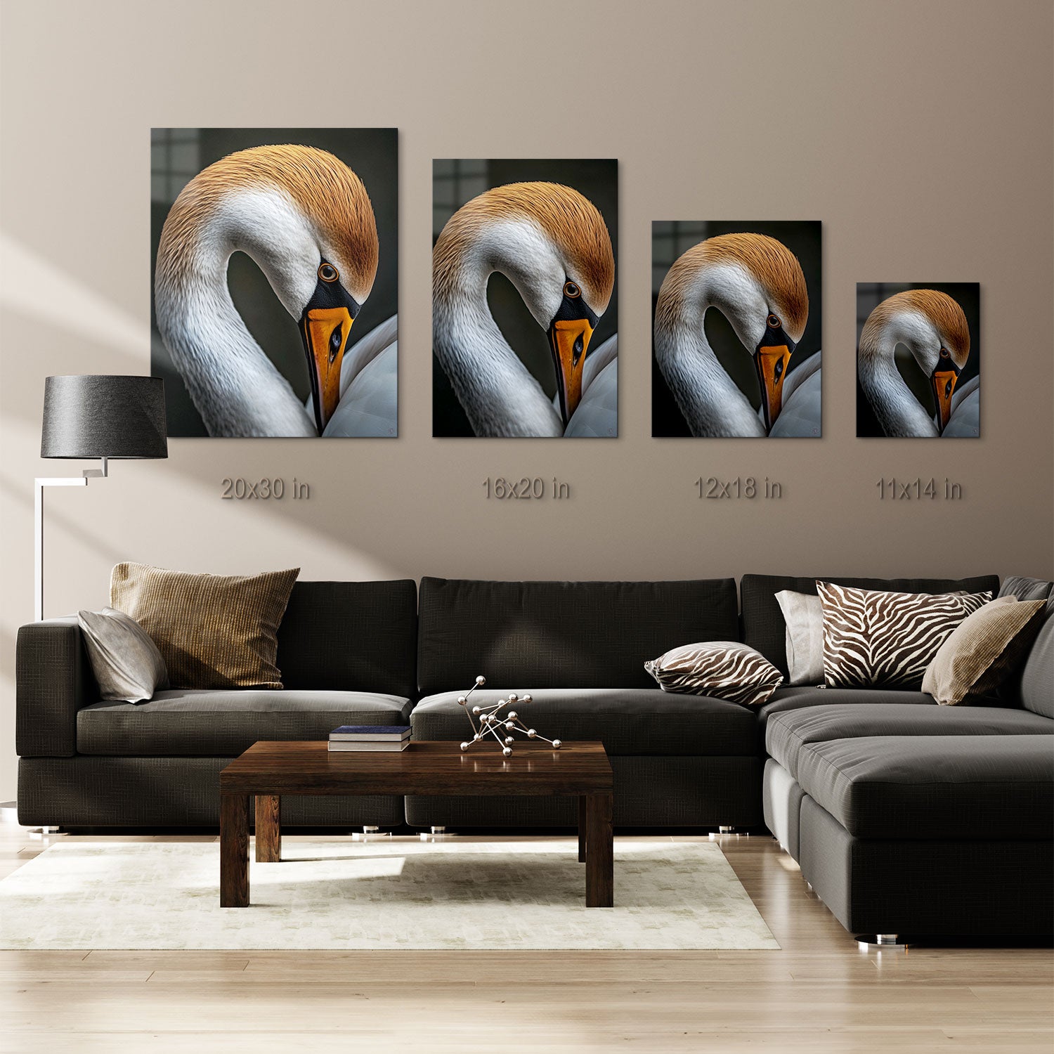 The dark background enhances the softness and elegance of the swan, making it a timeless portrayal of natural grace.