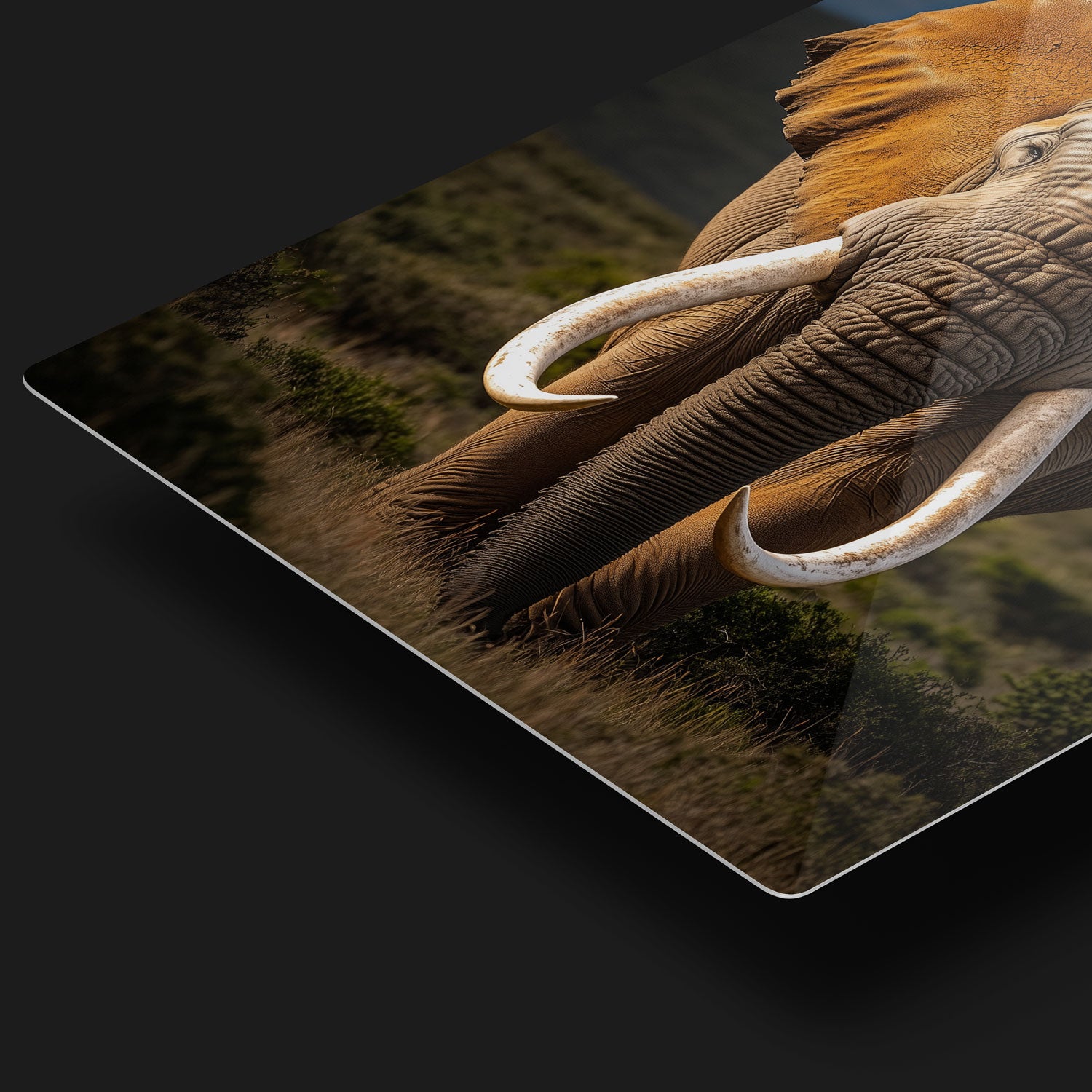 HD Metal Prints by CRUART